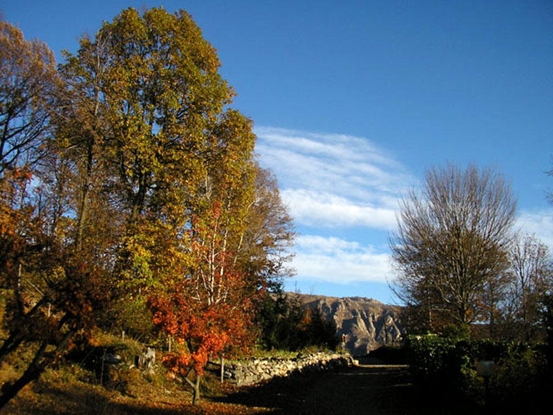 Natura, silenzio, ascolto